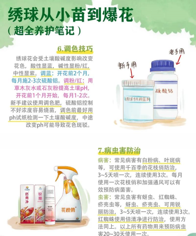 宁波花卉,选购指南,养护技巧 宁波花卉,选购指南,养护技巧