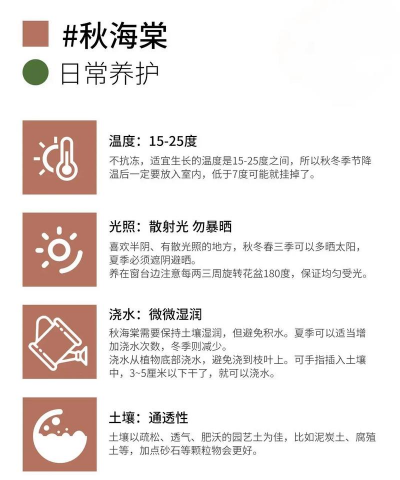 海棠花卉,种植技巧,养护要点 海棠花卉,种植技巧,养护要点