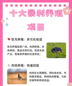 好的养殖项目,选择方向多,关键看适合 好的养殖项目,选择方向多,关键看适合