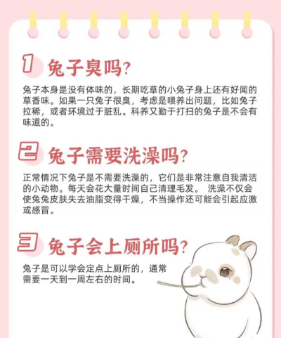 养殖家兔子,新手入门指南,轻松上手技巧 养殖家兔子,新手入门指南,轻松上手技巧