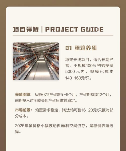 小成本养殖,适合新手起步,轻松实现增收 小成本养殖,适合新手起步,轻松实现增收