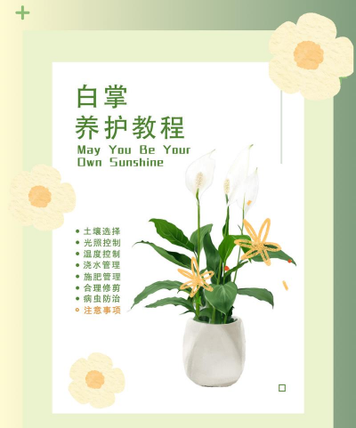 养花课件,新手入门,轻松上手 养花课件,新手入门,轻松上手