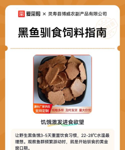 养殖黑鱼喂什么,饲料选择要点,投喂技巧分享 养殖黑鱼喂什么,饲料选择要点,投喂技巧分享