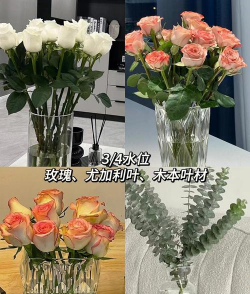 养花的水多久换一次,换水频率,水质影响 养花的水多久换一次,换水频率,水质影响