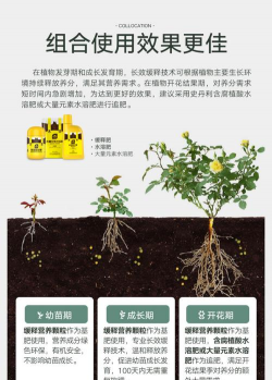 花卉有机肥,提升植物健康,改善土壤环境 花卉有机肥,提升植物健康,改善土壤环境