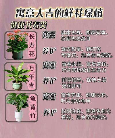 五行与养花,了解植物属性,打造和谐家居 五行与养花,了解植物属性,打造和谐家居