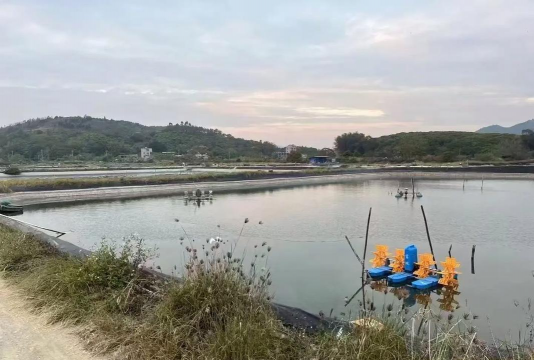 小龙虾养殖专业,掌握核心技术,实现高效养殖 小龙虾养殖专业,掌握核心技术,实现高效养殖