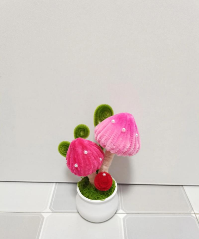 蘑菇养花,新手入门,轻松上手 蘑菇养花,新手入门,轻松上手