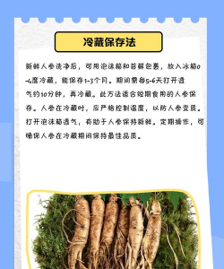 人参的养殖方法,掌握关键步骤,轻松收获高品质人参 人参的养殖方法,掌握关键步骤,轻松收获高品质人参