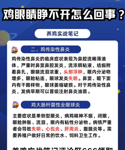 小鸡养殖技术视频,新手入门指南,常见问题解答 小鸡养殖技术视频,新手入门指南,常见问题解答