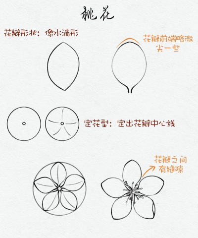 简笔画花卉图片,轻松学画,快速上手 简笔画花卉图片,轻松学画,快速上手