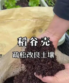 米能养花,废物利用,简单有效 米能养花,废物利用,简单有效