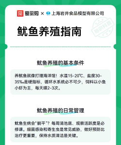 鱿鱼可以养殖吗,技术难点在哪,市场前景如何 鱿鱼可以养殖吗,技术难点在哪,市场前景如何