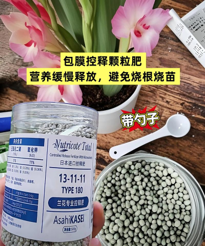 室内养花用什么肥料,选对种类,轻松养好花 室内养花用什么肥料,选对种类,轻松养好花