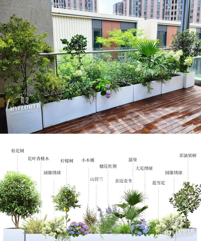 养花的花棚,搭建技巧,养护要点 养花的花棚,搭建技巧,养护要点