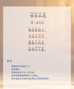 养花的诗词,品味古人雅趣,感受生活诗意 养花的诗词,品味古人雅趣,感受生活诗意