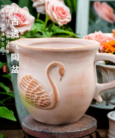 养花陶瓷盆,透气性如何,选对才重要 养花陶瓷盆,透气性如何,选对才重要