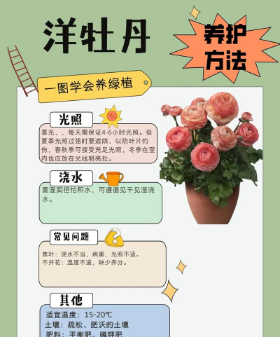 养花公众号,分享养花技巧,解决养花难题 养花公众号,分享养花技巧,解决养花难题