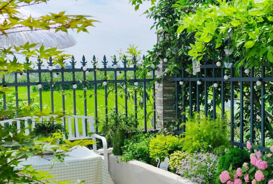 小院养花,新手入门,轻松打造美丽花园 小院养花,新手入门,轻松打造美丽花园