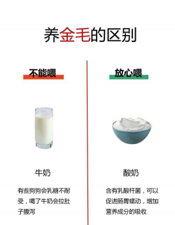 正规肉狗养殖场,如何规范经营,确保食品安全 正规肉狗养殖场,如何规范经营,确保食品安全