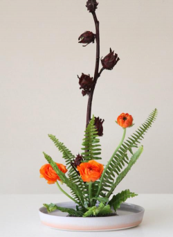 花卉盆景大全,新手入门指南,常见问题解答 花卉盆景大全,新手入门指南,常见问题解答