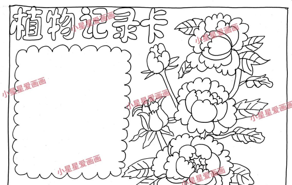 养花手抄报,内容怎么找,排版有技巧 养花手抄报,内容怎么找,排版有技巧