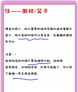 博美犬养殖场,挑选靠谱渠道,注意健康细节 博美犬养殖场,挑选靠谱渠道,注意健康细节