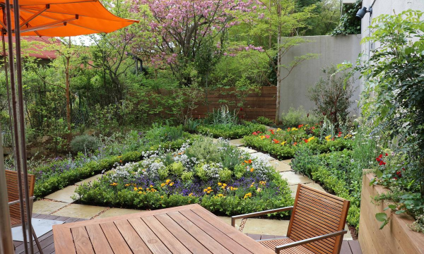 北欧花卉,耐寒品种推荐,打造简约花园 北欧花卉,耐寒品种推荐,打造简约花园