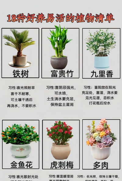 谁最会养花,高手经验分享,新手也能学会 谁最会养花,高手经验分享,新手也能学会