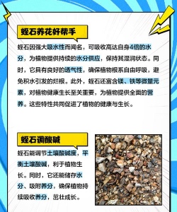 养花用的蛭石是什么,了解它的作用,掌握使用方法 养花用的蛭石是什么,了解它的作用,掌握使用方法