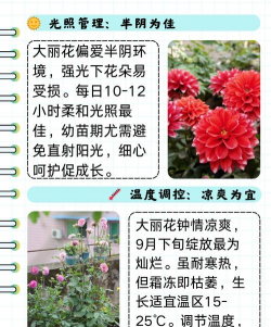 酸性花卉,土壤要求高,养护有技巧 酸性花卉,土壤要求高,养护有技巧