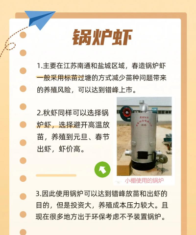 养殖桶养虾,新手入门指南,常见问题解答 养殖桶养虾,新手入门指南,常见问题解答