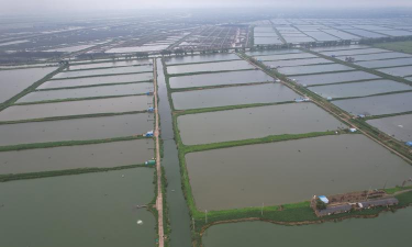 江苏连云港养殖基地,选址要点,经营策略 江苏连云港养殖基地,选址要点,经营策略
