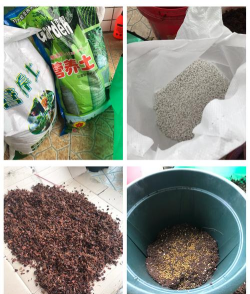 水泥养花,改善土壤,提升成活率 水泥养花,改善土壤,提升成活率