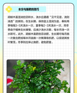 胡椒木的养殖方法,轻松上手,避免常见误区 胡椒木的养殖方法,轻松上手,避免常见误区