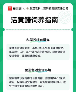黄鳝养殖加盟,选择靠谱平台,实现稳定收益 黄鳝养殖加盟,选择靠谱平台,实现稳定收益