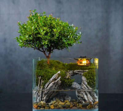 玻璃缸养花,打造微景观,新手也能轻松上手 玻璃缸养花,打造微景观,新手也能轻松上手