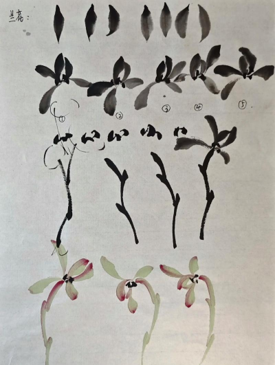 写意花卉国画,入门技巧分享,轻松掌握画法 写意花卉国画,入门技巧分享,轻松掌握画法