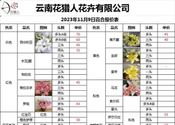 花卉批发,货源渠道,价格优势 花卉批发,货源渠道,价格优势