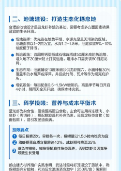 小龙虾室内养殖技术,掌握关键步骤,实现高效养殖 小龙虾室内养殖技术,掌握关键步骤,实现高效养殖