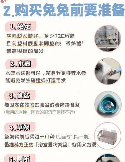 母兔养殖技术,繁殖管理要点,日常饲养细节 母兔养殖技术,繁殖管理要点,日常饲养细节