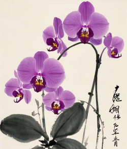 国画花卉写意,掌握基本笔法,感受水墨韵味 国画花卉写意,掌握基本笔法,感受水墨韵味