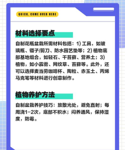 暖宝宝养花,废物利用,冬季护花小妙招 暖宝宝养花,废物利用,冬季护花小妙招