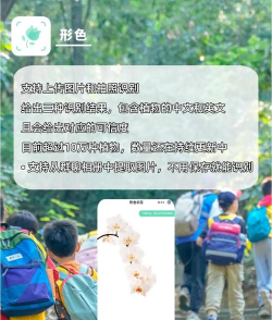 花卉app,挑选实用工具,美化居家生活 花卉app,挑选实用工具,美化居家生活