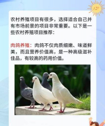 养殖业什么最赚钱农村,选对方向,避开风险 养殖业什么最赚钱农村,选对方向,避开风险