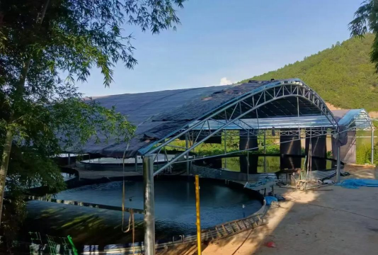 海鲈鱼养殖条件,场地选择关键,水质管理是核心 海鲈鱼养殖条件,场地选择关键,水质管理是核心