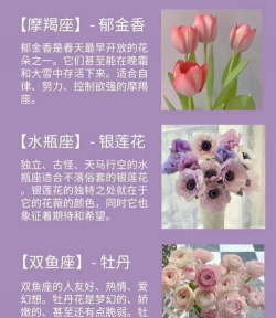 养花与属相,性格匹配,运势提升 养花与属相,性格匹配,运势提升