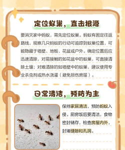 养花有蚂蚁,怎么处理,如何预防 养花有蚂蚁,怎么处理,如何预防