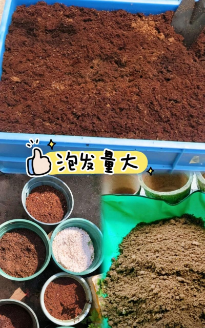 养花椰砖,轻松上手,新手也能养好花 养花椰砖,轻松上手,新手也能养好花