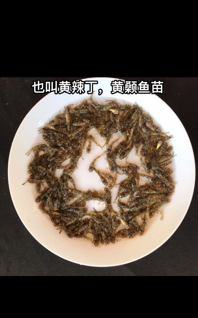 黄颡鱼养殖周期,多久能上市,效益怎么算 黄颡鱼养殖周期,多久能上市,效益怎么算